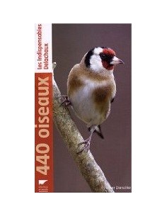 440 oiseaux 2