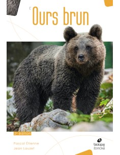 L'ours brun