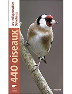 440 oiseaux