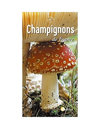 Champignons (éditions Artémis)