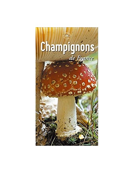 Champignons (éditions Artémis)