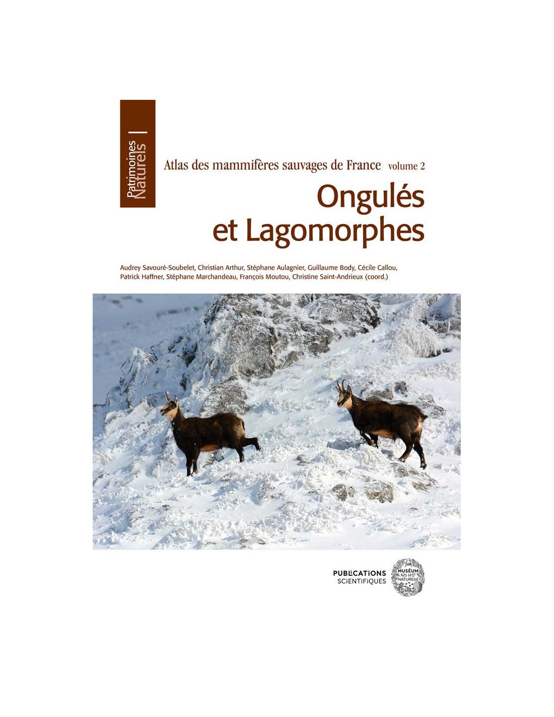 lagomorphes