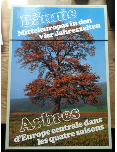 Arbres d'Europe centrales dans les quatre saisons