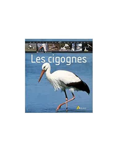 Cigognes