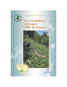 Les orchidées sauvages d'Île-de-France