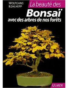 La beauté des bonsaï avec des arbres de nos forêts