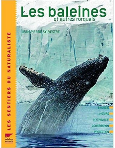 Les baleines et autres rorquals