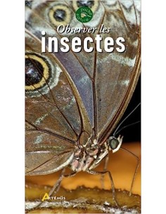 Observer les insectes