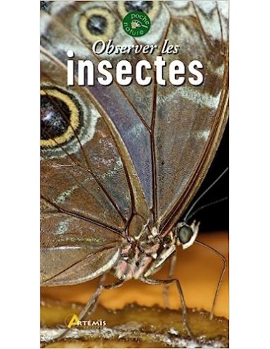 Observer les insectes