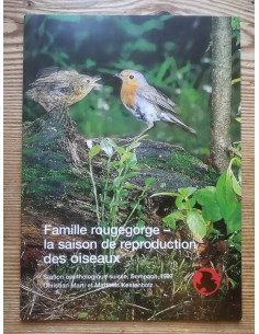 Famille rougegorge - la saison de reproduction des oiseaux