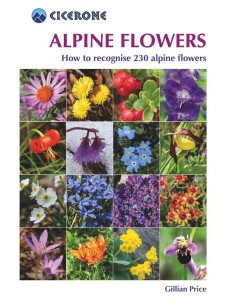 Alpine flowers