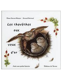 chevêches aux yeux d'or (Les)