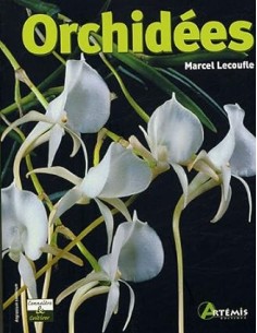 Orchidées