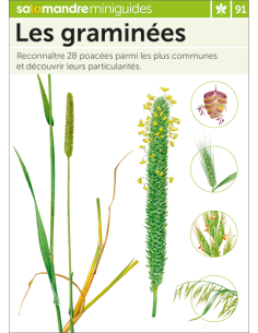 Mini-guide nr. 91 Les graminées
