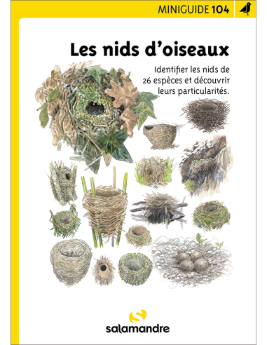 Mini-guide nr. 104 Les nids d'oiseaux