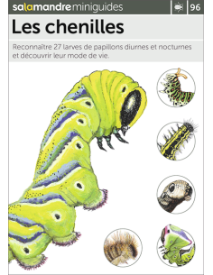 Mini-guide nr. 96 - Les chenilles