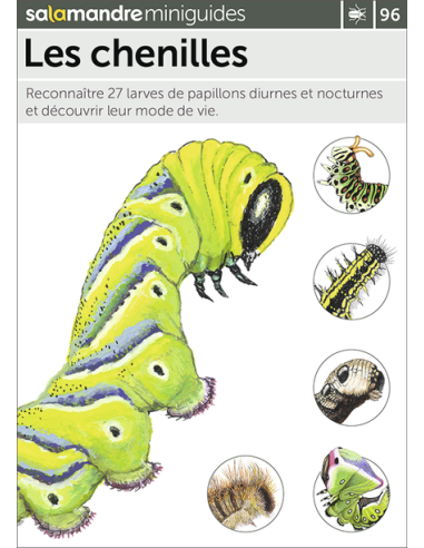 Mini-guide 96 - Les chenilles