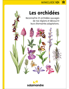 mini-guide nr. 101 Les orchidées