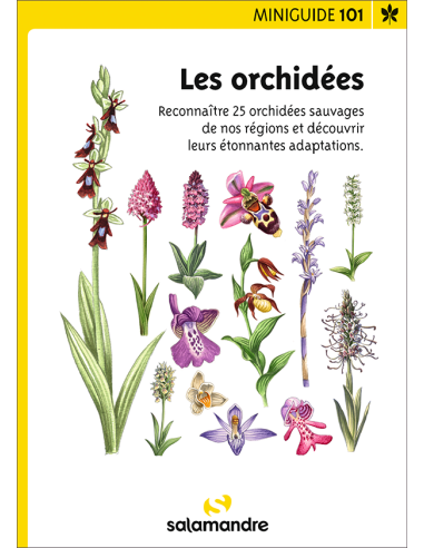 mini-guide nr. 101 Les orchidées