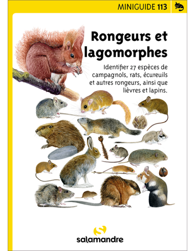 Mini-guide nr. 113 Rongeurs et lagomorphes