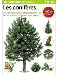 Mini-guide nr. 100 Les conifères