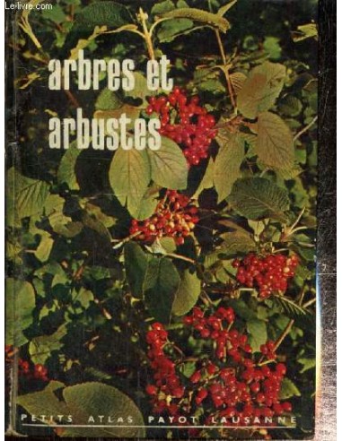 Arbustes