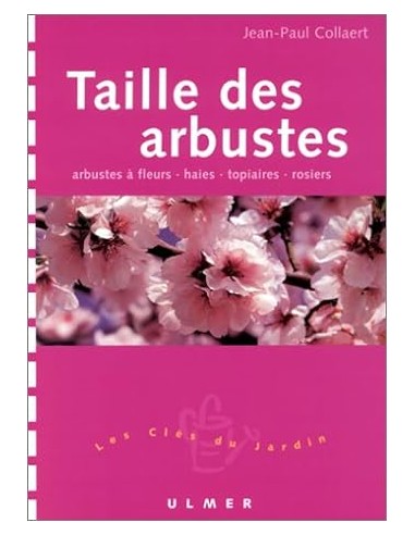 Taille des arbustes