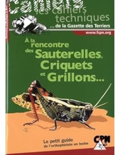 À la rencontre des sauterelles, criquets et grillons