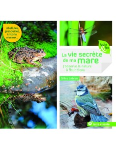la vie secrète de ma mare