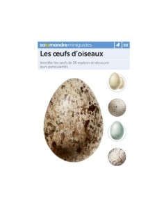 Mini-guide nr. 88 - Les oeufs d'oiseaux