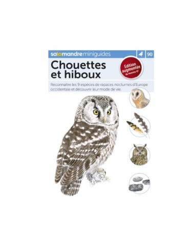 Mini-guide 90 - Chouettes et hiboux