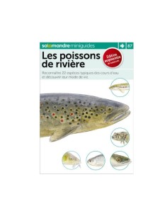 Les poissons de rivière