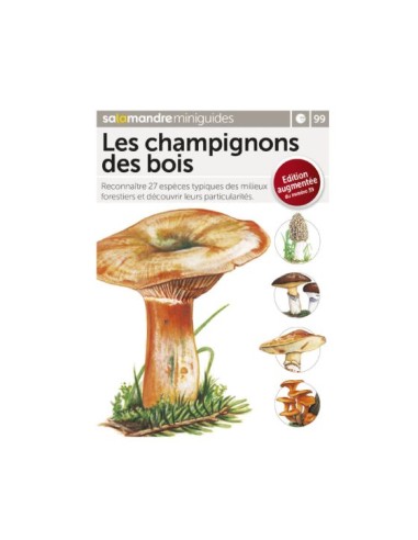 Mini-guide 99 Les champignons des bois