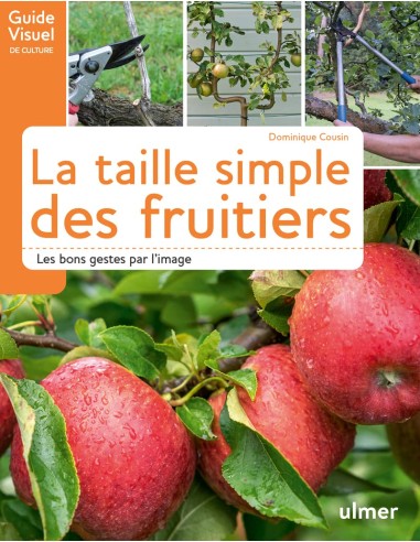 La taille simple des fruitiers