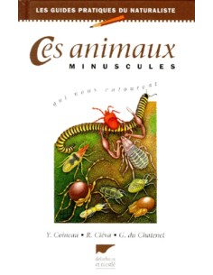 Ces animaux minuscules qui nous entourent