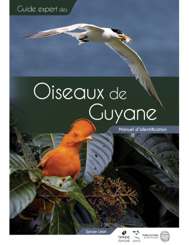 Oiseaux de Guyane