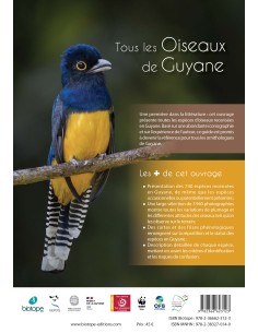 Oiseaux de Guyane 2