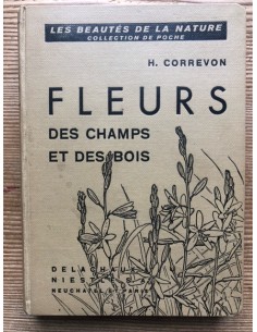 Fleurs des champs et des bois