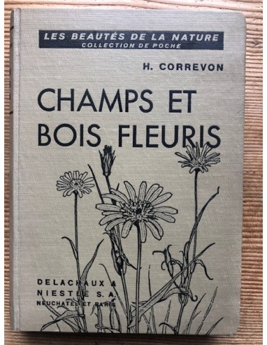 Champs et bois fleuris