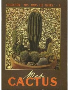 Mes cactus