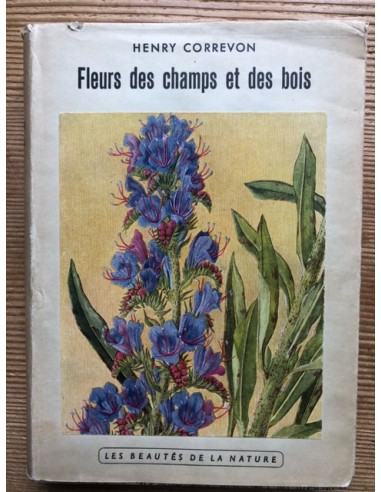 Fleurs des champs et des bois