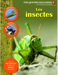 Les insectes