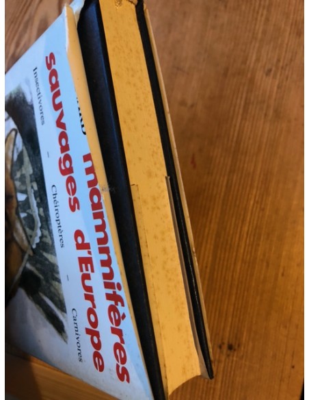 Mammifère sauvages d'Europe, insectivores, chéiroptères, carnivores