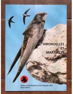 Hirondelles et martinets, rapport 1995