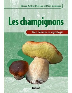 Les champignons, bien débuter en mycologie