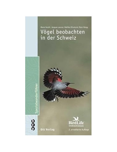 Vögel beobachten in der Schweiz