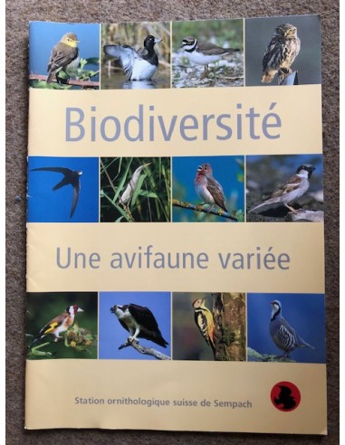 Biodiversité, une avifaune variée