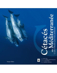 Cétacés de Méditerranée