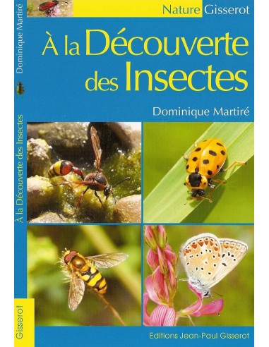 À la découverte des insectes