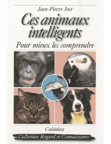 Ces animaux intelligents